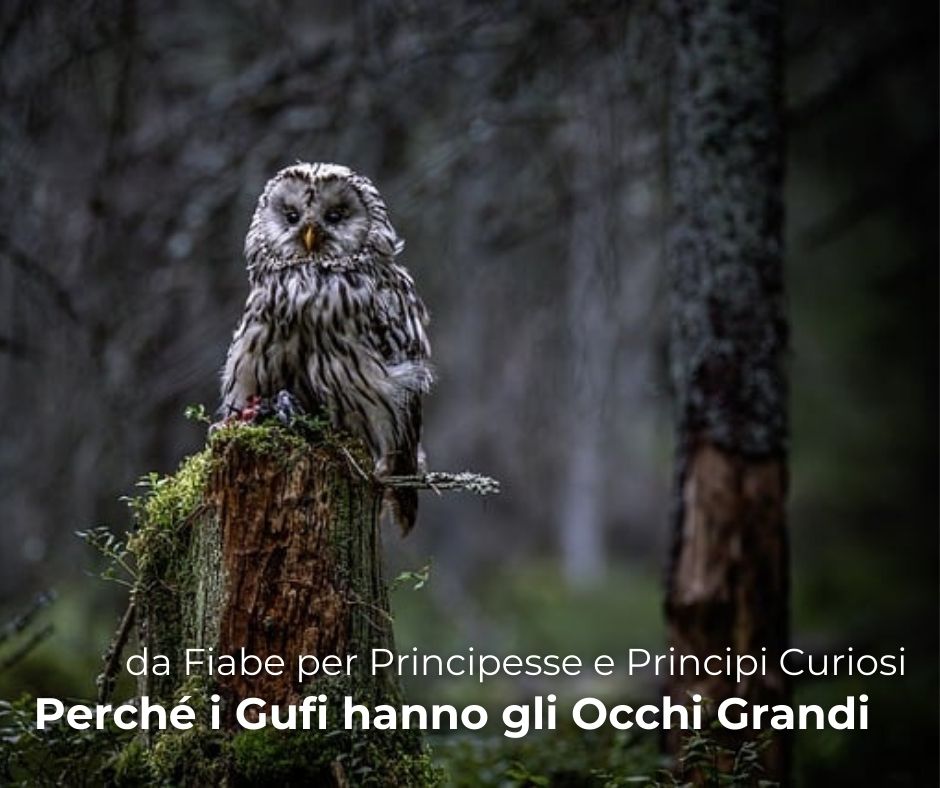 Fiabe per Principesse e Principi Curiosi Stefania Calesini Oltre la Montagna