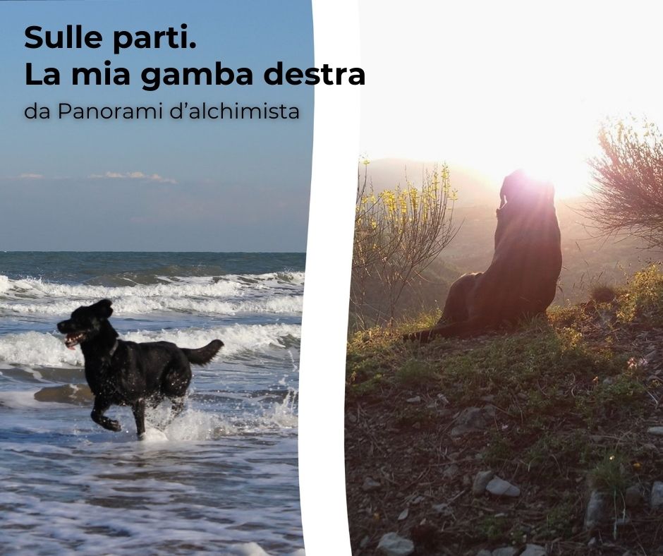 oltre la montagna stefania calesini transpersonale counseling