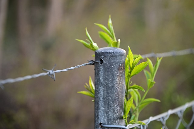 Oltre la montagna Stefania Calesini Transpersonale